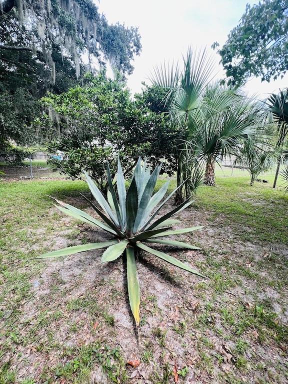 House Of Shells, Beautiful Garden, Fenced Yard, Dog Friendly, Fire Pit! Villa Crystal River Ngoại thất bức ảnh